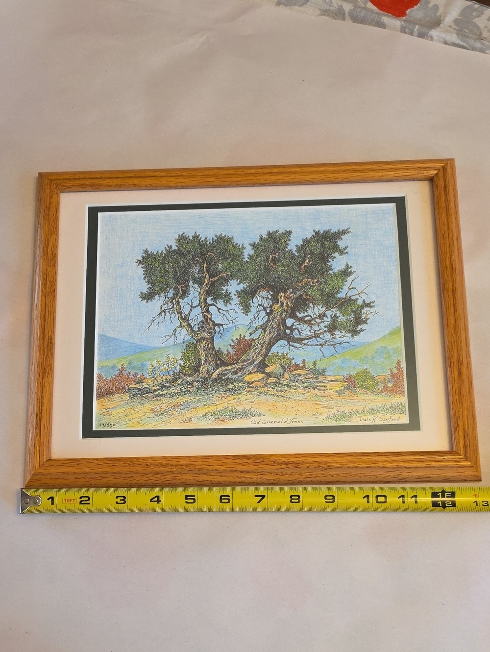 Limited Edition Art Print "Old Gnarled Trees" 19/350